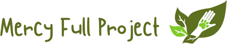 Mercy Full Project Logo