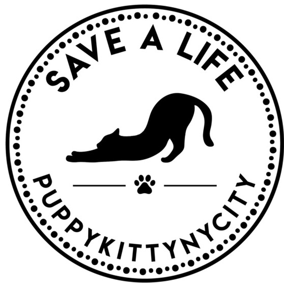 Puppy Kitty Rescue Logo