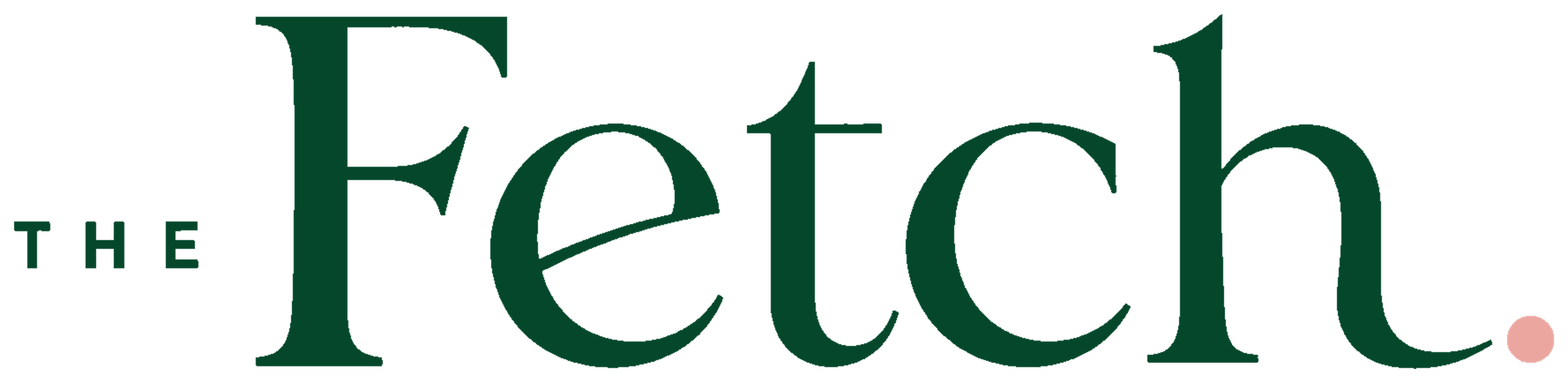 The Fetch Logo